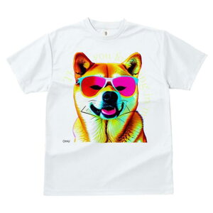 Č TVc fB[X t@  t  vg JWA 킢 lԗp h ̃fUC ʔ TOX Č