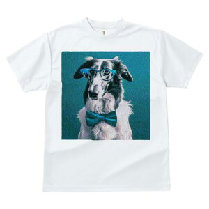 {]C TVc fB[X t@  t  vg JWA 킢 lԗp h ̃fUC ʔ Kl {]C lN^C