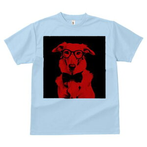 {]C TVc Y LbY t@  t  vg JWA 킢 lԗp h ̃fUC ʔ Kl {]C lN^C