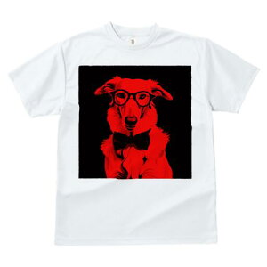 {]C TVc Y LbY t@  t  vg JWA 킢 lԗp h ̃fUC ʔ Kl {]C lN^C