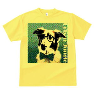 {[_[R[ TVc fB[X t@  t  vg JWA 킢 lԗp h ̃fUC ʔ lN^C {[_[R[ Kl