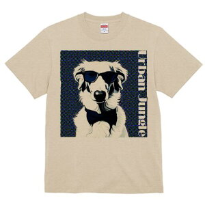 {]C TVc fB[X t@  t  vg JWA 킢 lԗp h ̃fUC ʔ TOX {]C lN^C