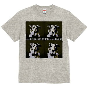 {]C TVc fB[X t@  t  vg JWA 킢 lԗp h ̃fUC ʔ lN^C {]C