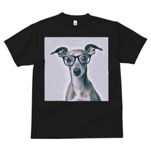 C^AO[nEh TVc Y LbY t@  t  vg JWA 킢 lԗp h ̃fUC ʔ Kl C^AO[nEh