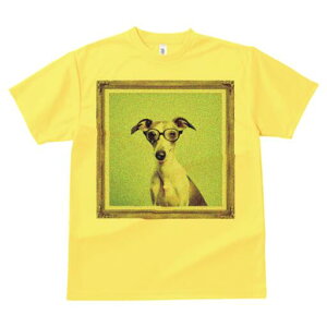 C^AO[nEh TVc Y LbY t@  t  vg JWA 킢 lԗp h ̃fUC ʔ Kl C^AO[nEh z