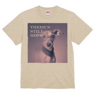 C^AO[nEh TVc Y LbY t@  t  vg JWA 킢 lԗp h ̃fUC ʔ Kl C^AO[nEh XJ[