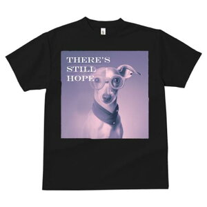 C^AO[nEh TVc fB[X t@  t  vg JWA 킢 lԗp h ̃fUC ʔ Kl C^AO[nEh XJ[t