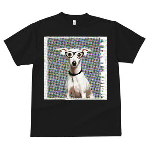 C^AO[nEh TVc fB[X t@  t  vg JWA 킢 lԗp h ̃fUC ʔ Kl C^AO[nEh