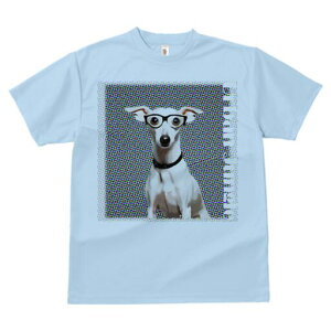 C^AO[nEh TVc Y LbY t@  t  vg JWA 킢 lԗp h ̃fUC ʔ Kl C^AO[nEh