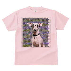 C^AO[nEh TVc fB[X t@  t  vg JWA 킢 lԗp h ̃fUC ʔ Kl C^AO[nEh