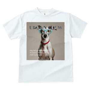 C^AO[nEh TVc Y LbY t@  t  vg JWA 킢 lԗp h ̃fUC ʔ Kl C^AO[nEh 