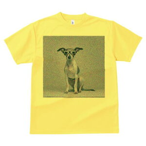 C^AO[nEh TVc fB[X t@  t  vg JWA 킢 lԗp h ̃fUC ʔ Kl C^AO[nEh