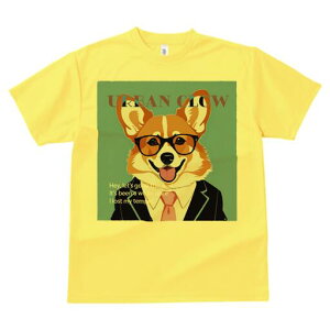 R[M[ TVc fB[X t@  t  vg JWA 킢 lԗp h ̃fUC ʔ  R[M[ rWlX X[c lN^C