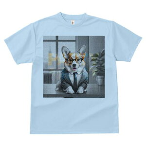 R[M[ TVc Y LbY t@  t  vg JWA 킢 lԗp h ̃fUC ʔ X[c R[M[ Kl ItBX