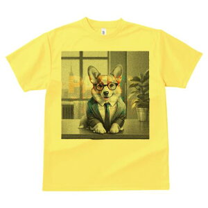 R[M[ TVc Y LbY t@  t  vg JWA 킢 lԗp h ̃fUC ʔ X[c R[M[ Kl ItBX