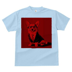 R[M[ TVc Y LbY t@  t  vg JWA 킢 lԗp h ̃fUC ʔ X[c R[M[ lN^C Kl