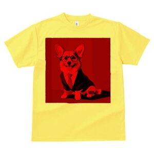 R[M[ TVc Y LbY t@  t  vg JWA 킢 lԗp h ̃fUC ʔ X[c R[M[ lN^C Kl