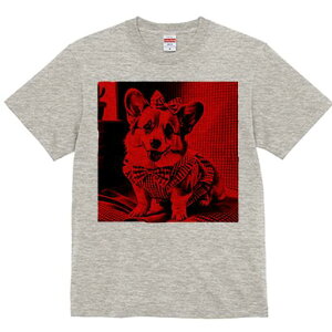 R[M[ TVc Y LbY t@  t  vg JWA 킢 lԗp h ̃fUC ʔ { R[M[ lN^C `FbN