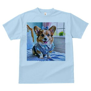 R[M[ TVc fB[X t@  t  vg JWA 킢 lԗp h ̃fUC ʔ MK`FbN R[M[  J[e {