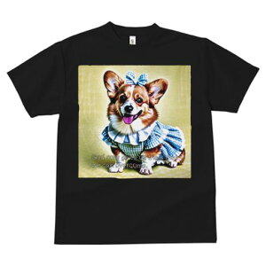 R[M[ TVc fB[X t@  t  vg JWA 킢 lԗp h ̃fUC ʔ { R[M[ s[X