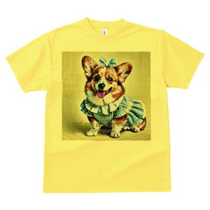 R[M[ TVc fB[X t@  t  vg JWA 킢 lԗp h ̃fUC ʔ { R[M[ s[X