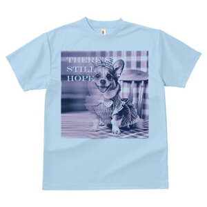 R[M[ TVc fB[X t@  t  vg JWA 킢 lԗp h ̃fUC ʔ `FbN R[M[ s[X {