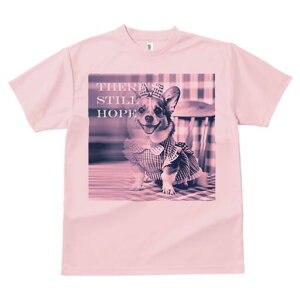 R[M[ TVc fB[X t@  t  vg JWA 킢 lԗp h ̃fUC ʔ `FbN R[M[ s[X {