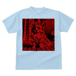 R[M[ TVc fB[X t@  t  vg JWA 킢 lԗp h ̃fUC ʔ { R[M[ s[X `FbN