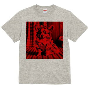 R[M[ TVc fB[X t@  t  vg JWA 킢 lԗp h ̃fUC ʔ { R[M[ s[X `FbN