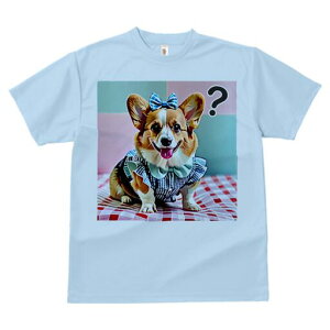 R[M[ TVc fB[X t@  t  vg JWA 킢 lԗp h ̃fUC ʔ { R[M[  `FbN