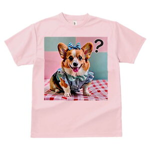 R[M[ TVc fB[X t@  t  vg JWA 킢 lԗp h ̃fUC ʔ { R[M[  `FbN