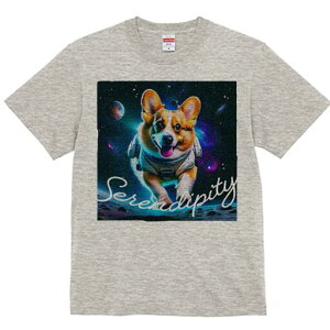 R[M[ TVc fB[X t@  t  vg JWA 킢 lԗp h ̃fUC ʔ F R[M[ F