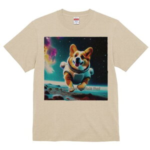 R[M[ TVc fB[X t@  t  vg JWA 킢 lԗp h ̃fUC ʔ F R[M[ F 