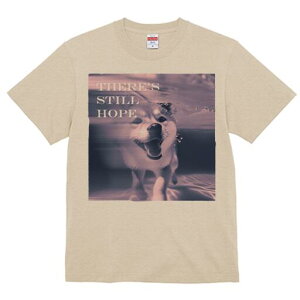 Č TVc fB[X t@  t  vg JWA 킢 lԗp h ̃fUC ʔ Č