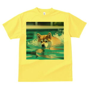 Č TVc fB[X t@  t  vg JWA 킢 lԗp h ̃fUC ʔ  Č v[