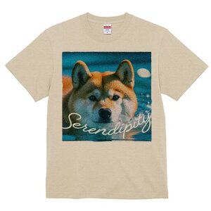 Č TVc fB[X t@  t  vg JWA 킢 lԗp h ̃fUC ʔ  Č  C