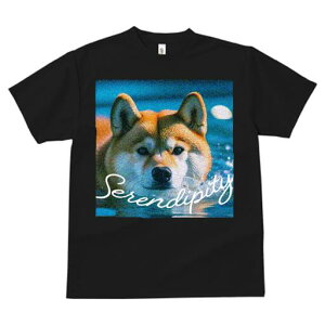 Č TVc fB[X t@  t  vg JWA 킢 lԗp h ̃fUC ʔ  Č  C