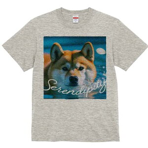 Č TVc fB[X t@  t  vg JWA 킢 lԗp h ̃fUC ʔ  Č  C