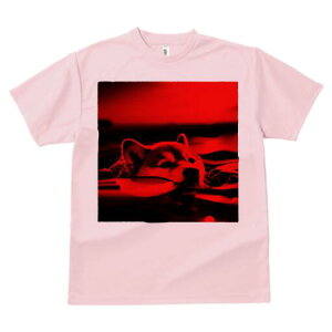 Č TVc fB[X t@  t  vg JWA 킢 lԗp h ̃fUC ʔ  Č