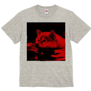 Č TVc fB[X t@  t  vg JWA 킢 lԗp h ̃fUC ʔ  Č