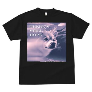 Č TVc fB[X t@  t  vg JWA 킢 lԗp h ̃fUC ʔ Č