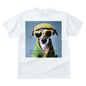 C^AO[nEh TVc fB[X t@  t  vg JWA 킢 lԗp h ̃fUC ʔ TOX C^AO[nEh Xq 