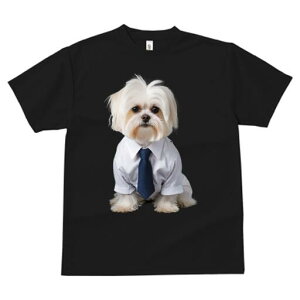 }`[Y TVc fB[X t@  t  vg JWA 킢 lԗp h ̃fUC ʔ CVc }`[Y lN^C