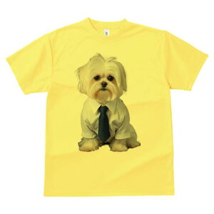 }`[Y TVc fB[X t@  t  vg JWA 킢 lԗp h ̃fUC ʔ CVc }`[Y lN^C