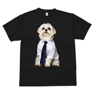 }`[Y TVc fB[X t@  t  vg JWA 킢 lԗp h ̃fUC ʔ CVc }`[Y lN^C