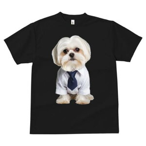 }`[Y TVc fB[X t@  t  vg JWA 킢 lԗp h ̃fUC ʔ Vc }`[Y lN^C