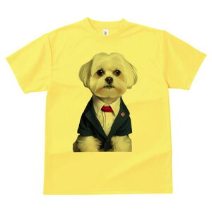 }`[Y TVc fB[X t@  t  vg JWA 킢 lԗp h ̃fUC ʔ X[c }`[Y CVc lN^C WPbg