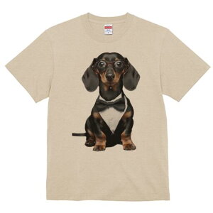 _bNXth TVc fB[X t@  t  vg JWA 킢 lԗp h ̃fUC ʔ lN^C _bNXth ዾ ^LV[h 