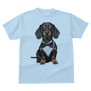 _bNXth TVc fB[X t@  t  vg JWA 킢 lԗp h ̃fUC ʔ lN^C _bNXth ዾ ^LV[h 