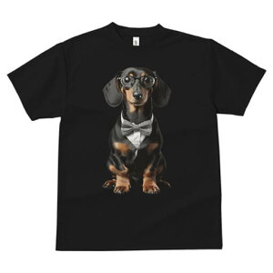 _bNXth TVc fB[X t@  t  vg JWA 킢 lԗp h ̃fUC ʔ lN^C _bNXth Kl X[c